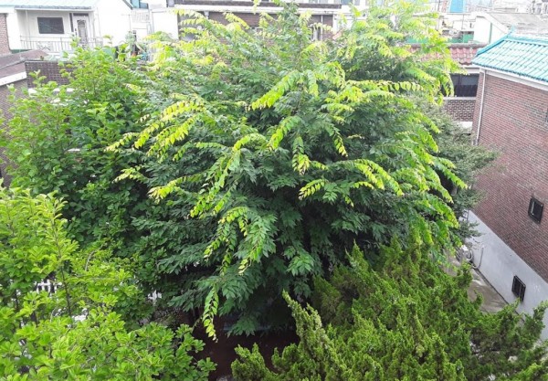 1499506675_54ab32cfa9a541ab0e7c436201eb1911.jpg