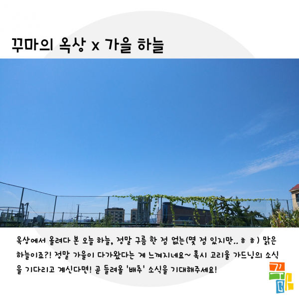 1503731490_0a4476cdb6d87019cc1d44dcbeb71643.PNG