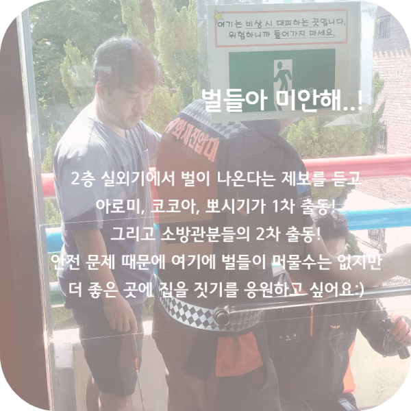 1504344585_05dad5d1ffd19c71b4a9b2f23f96c5f4.png